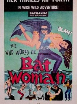 The Wild World of Batwoman