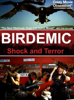 Birdemic: Shock and Terror