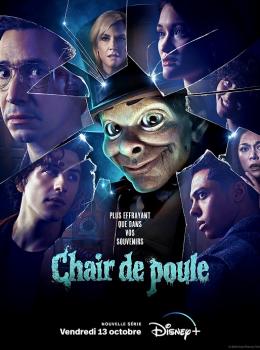 Chair de poule