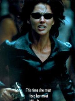 Caméléon 3 - Instinct Mortel : Menace Terroriste