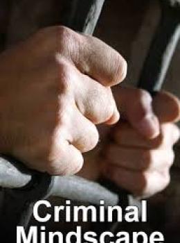 Criminal Mindscape