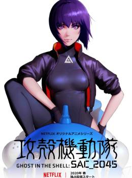 Ghost in the Shell SAC_2045