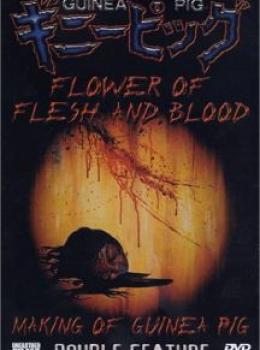 Guinea Pig : Flower of Flesh and Blood