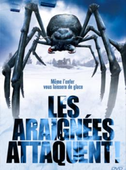 Les Araignées Attaquent !