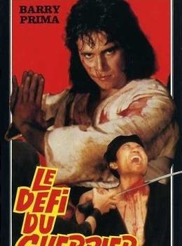 Le Défi du Guerrier