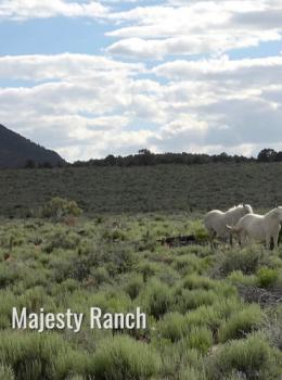 Horror in the High Desert 4: Majesty