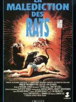 La Malédiction des Rats La Malédiction des Rats