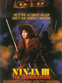 Ninja 3 : La Domination