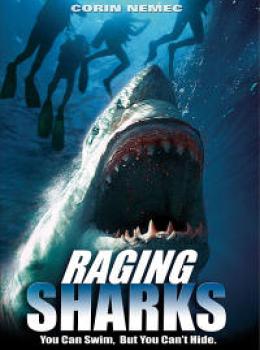Raging Sharks