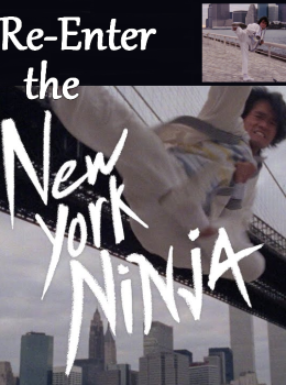 Re-Enter the New York Ninja