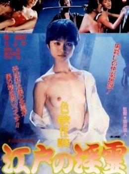 Erotic Ghost Story: Succubus in Edo