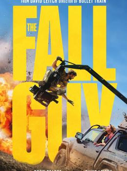 The Fall Guy