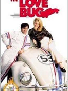 Un Nouveau Départ pour la Coccinelle