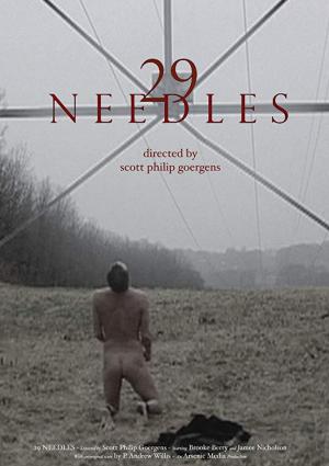 29 Needles