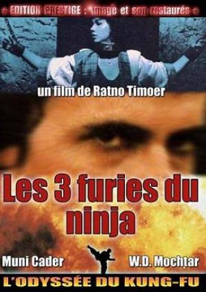 Les 3 Furies du Ninja