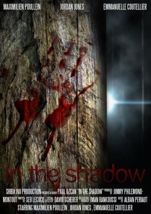 In the shadow