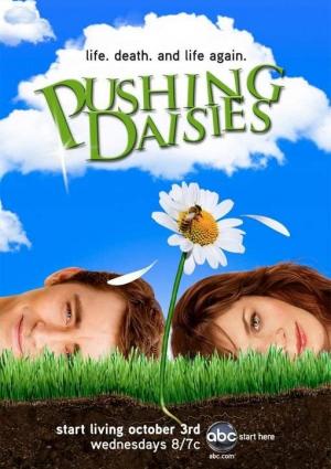 Pushing Daisies