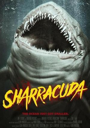 Sharracuda