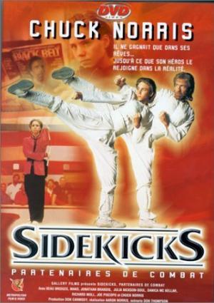 Sidekicks: Partenaires de Combat
