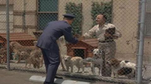 Épisode 6 – Une vie de chien