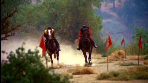 Épisode 9 – L'étalon