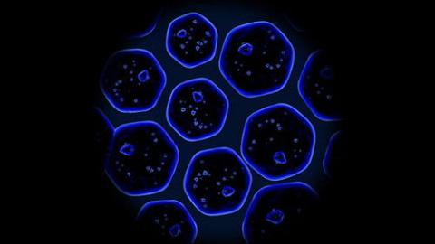 Épisode 12 – Laurie