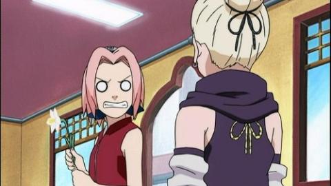 Épisode 55 – Un vœu fait à une fleur