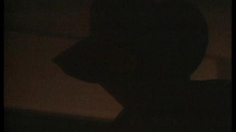 Épisode 10 – L'Ombre de la nuit / Le Petit Magicien / Chasse ouverte