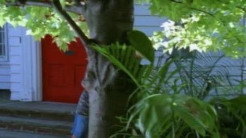 Épisode 7 – L'île des hommes poissons (1)