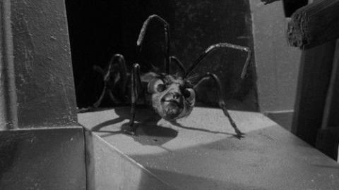 Épisode 14 – Les Forçats de Zanti