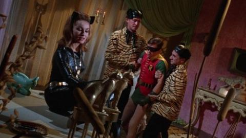 Épisode 20 – Chat ou tigre