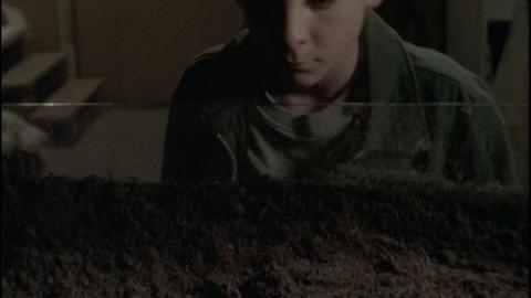 Épisode 6 – Une indigestion de vers de terre