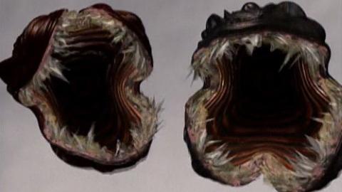 Épisode 2 – Épisode 2