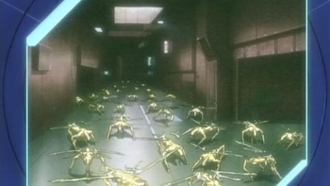 Épisode 13 – Érosion / Festum