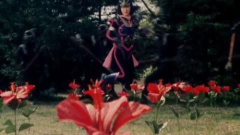 Épisode 15 – Épisode 15