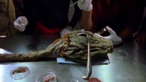 Épisode 5 – Une belle plante