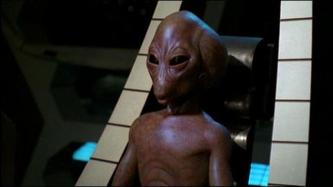 Épisode 12 – Évolution