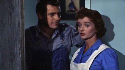 Épisode 6 – Lois a disparu