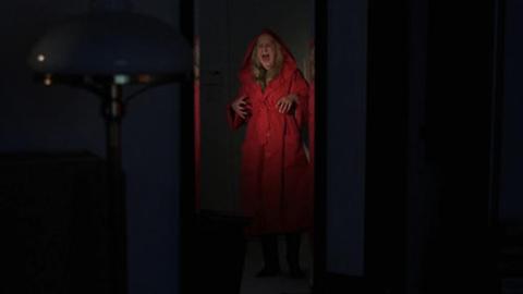 Épisode 21 – La Visite