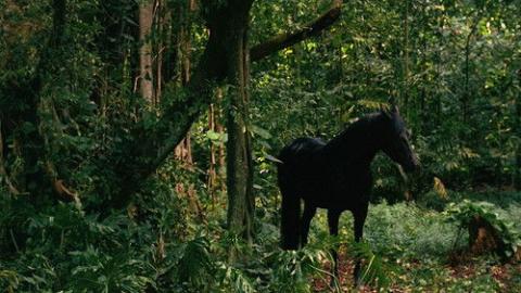 Épisode 9 – Message personnel