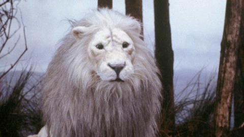 Épisode 9 – La promise