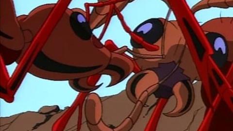 Épisode 2 – Un pique-nique assez fourmilière