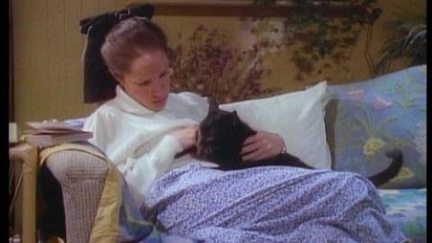 Épisode 24 – Le Chat et la Souris