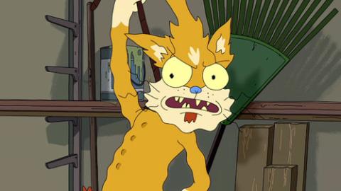 Épisode 11 – Ricksy Business