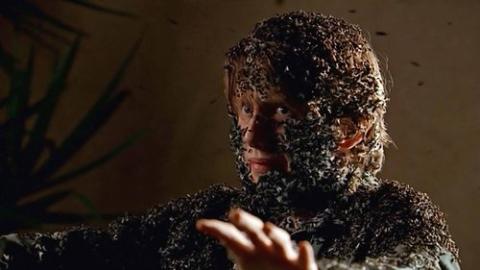 Épisode 5 – Le Seigneur des mouches