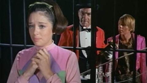 Épisode 12 – Une journée au zoo