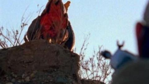 Épisode 3 – La nuit des Shriekers