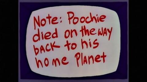 Épisode 14 – Itchy, Scratchy et Poochie