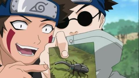 Épisode 149 – Tous les insectes se ressemblent