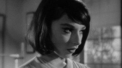 Épisode 18 – La Reine des abeilles